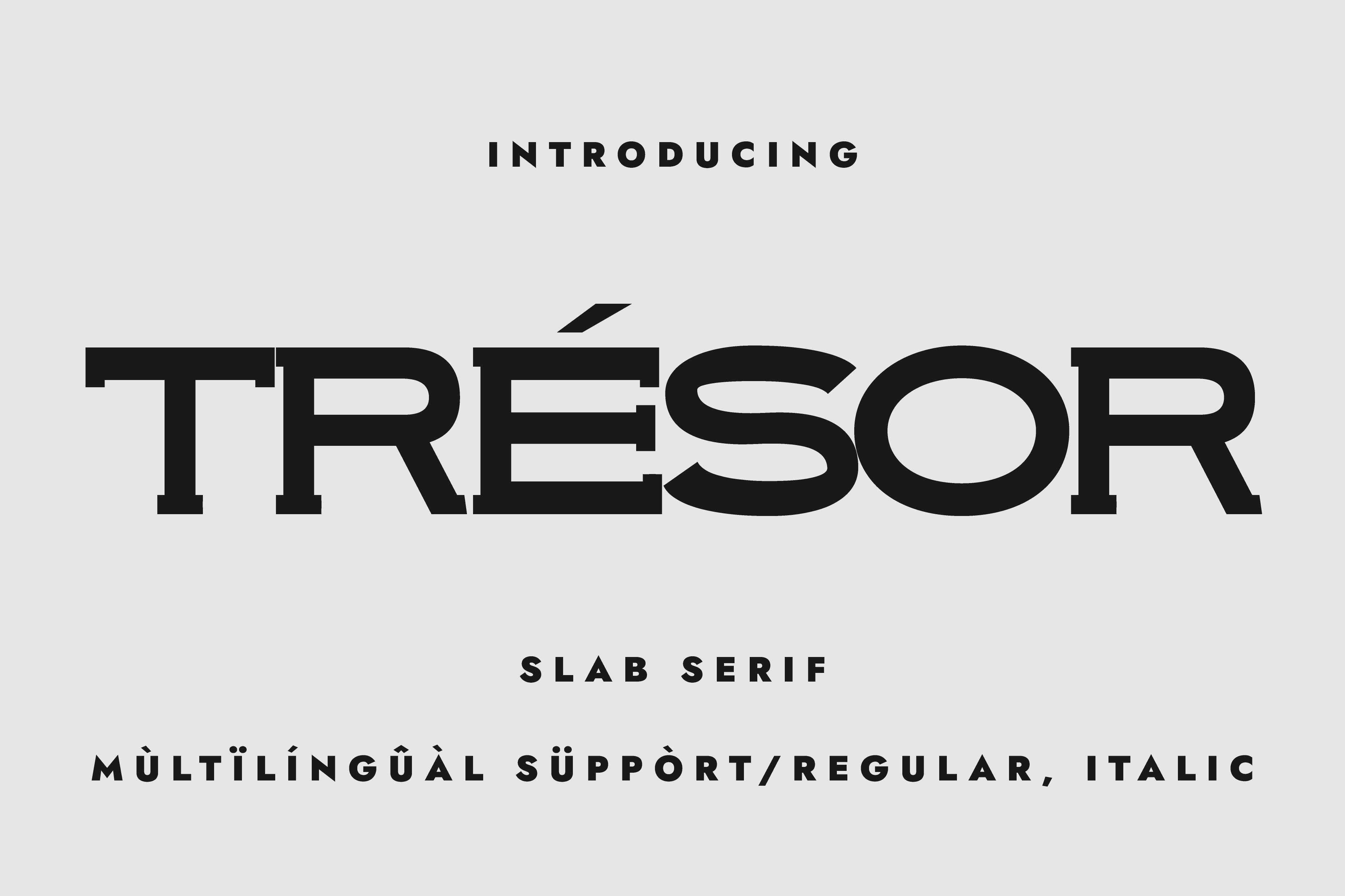 I Will Create Custom Unique, Elegant Slab Serif Font, I'll Provide Italic Version Bonus