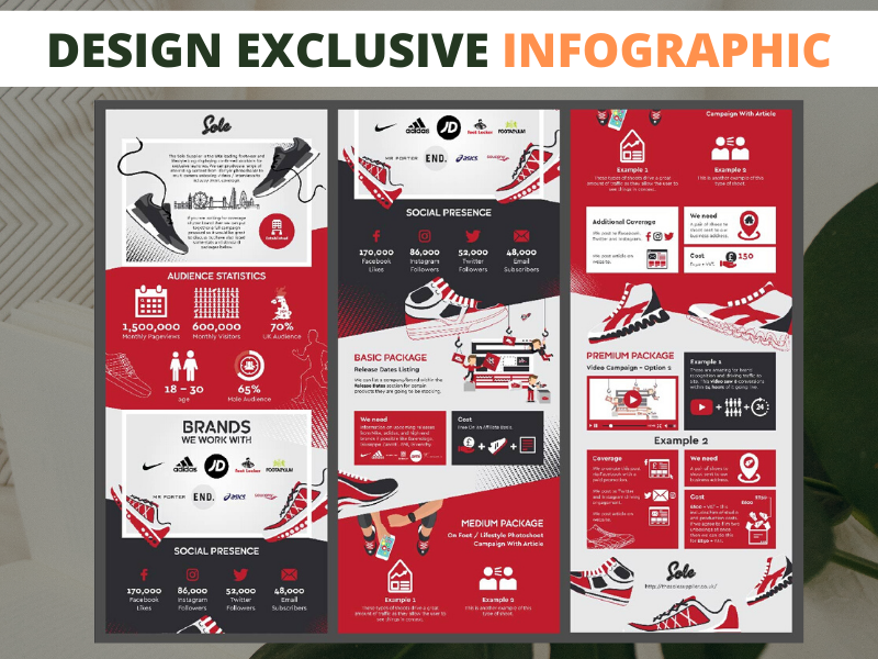 Design an exclusive infographic