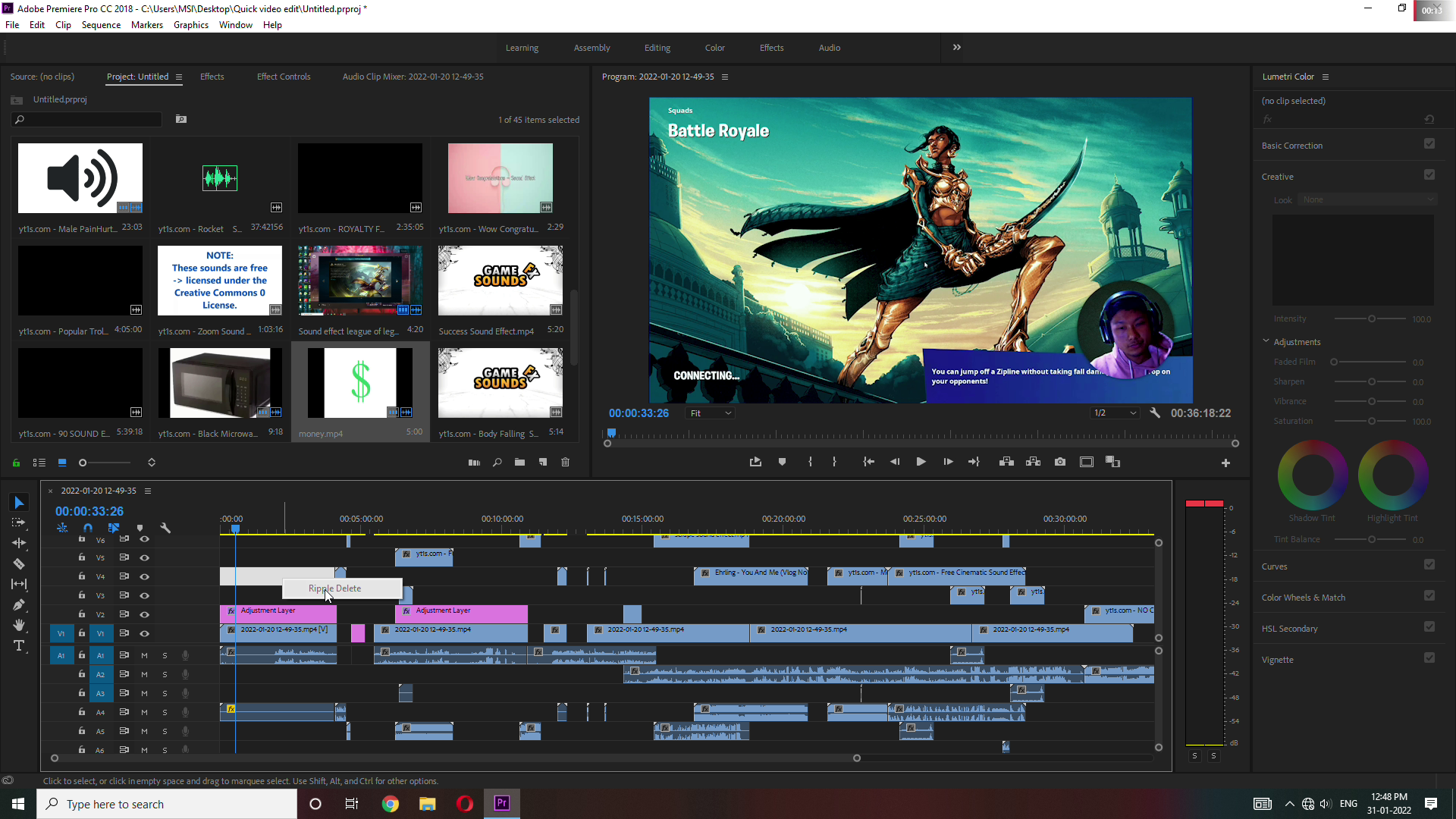 I will do a next level video editing using Premiere P...