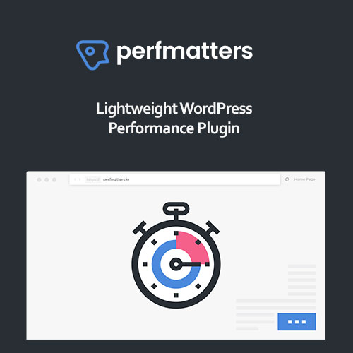 Install and activate Perfmatters plugin on your website