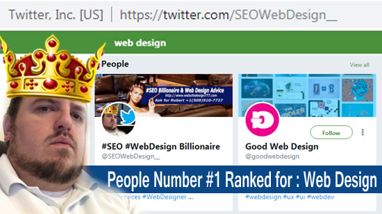#1 Web Design People Section of 50k Followers - SEOWebDesign__