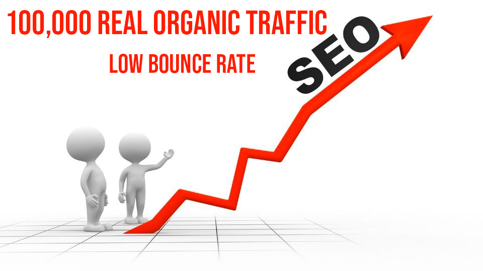 100,000 Real Organic Traffic On Your Website Or Blog 