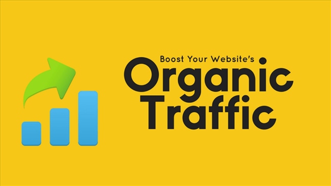 500,000 Real Traffic, Website Visitors, From Search Engines