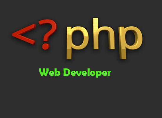 Expert php programmer - do anything on your php script