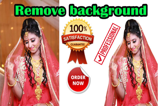 I will do professionally remove 1 to 100 image background