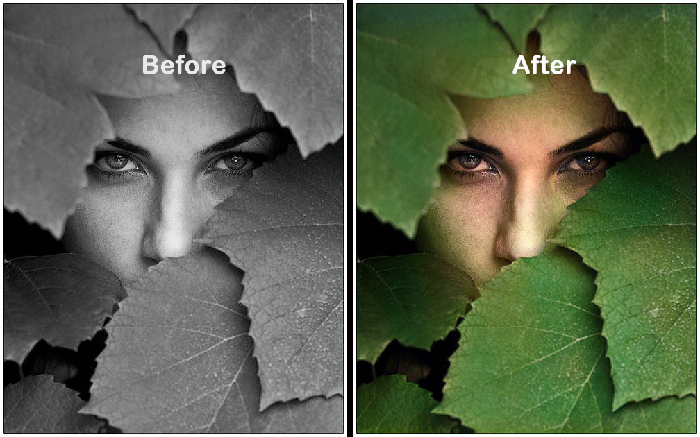 I Will Color Your Black And White Photo