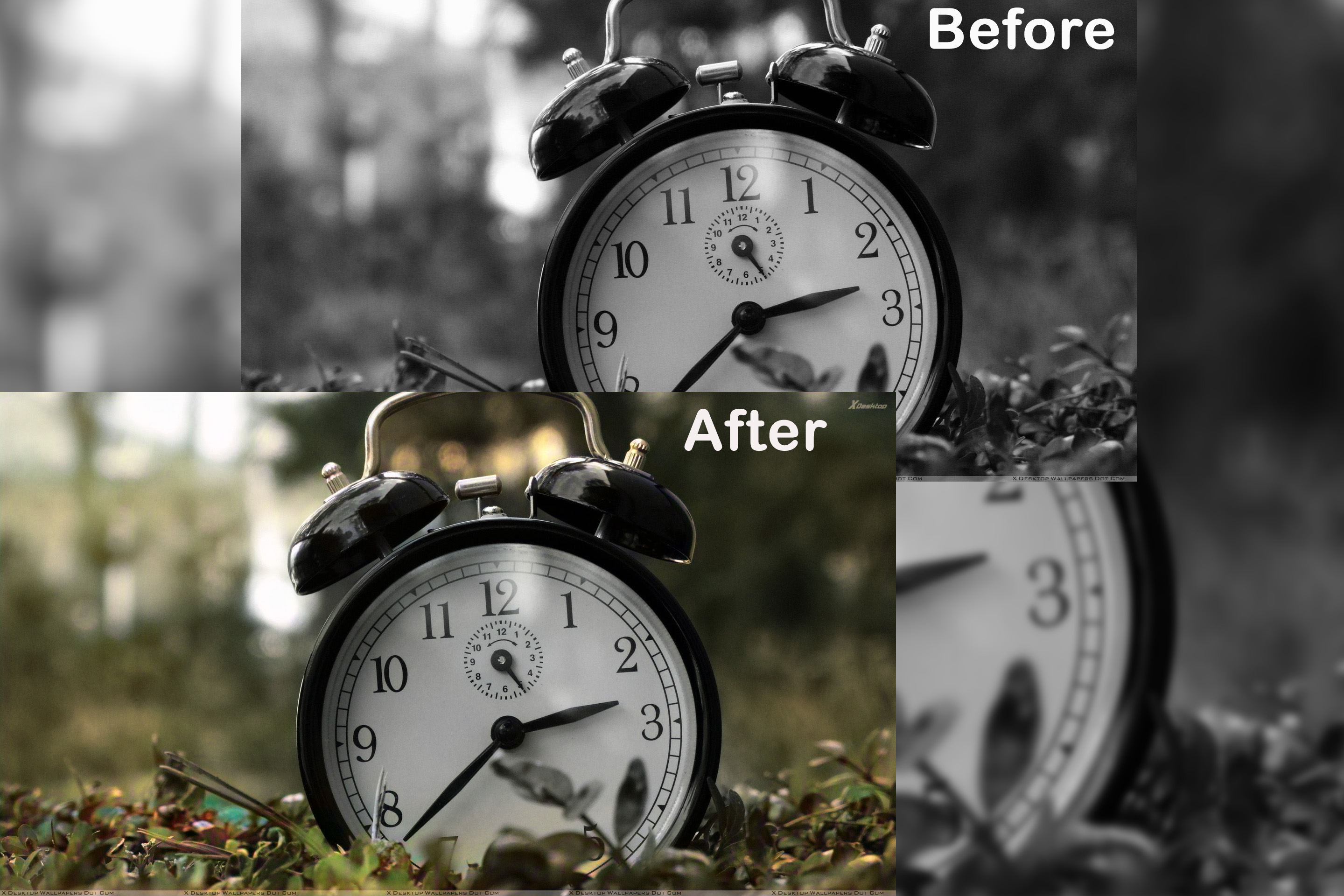 I Will Color Your Black And White Photo