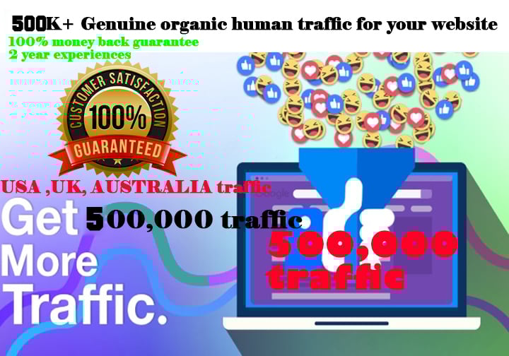 i will drive 500,000 real and organic web traffic to ...