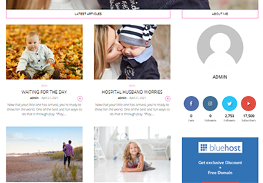 I will create you a baby world niche website for your affiliate programs