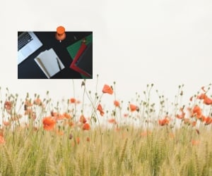 E-Learning videos with Lesson Content