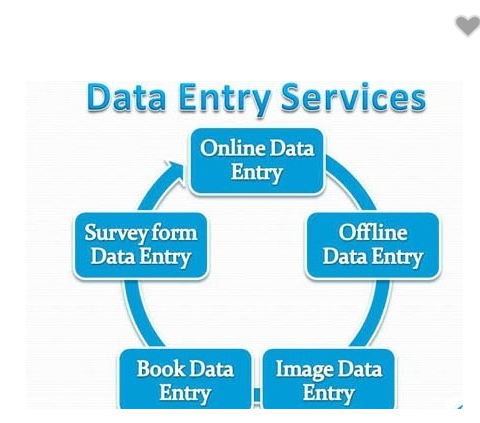 complete any type of data entry job