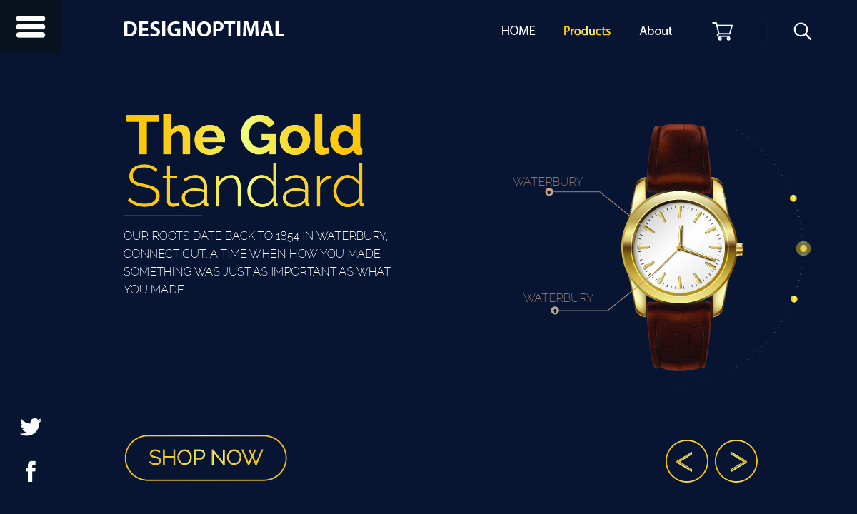 Professional graphics designer