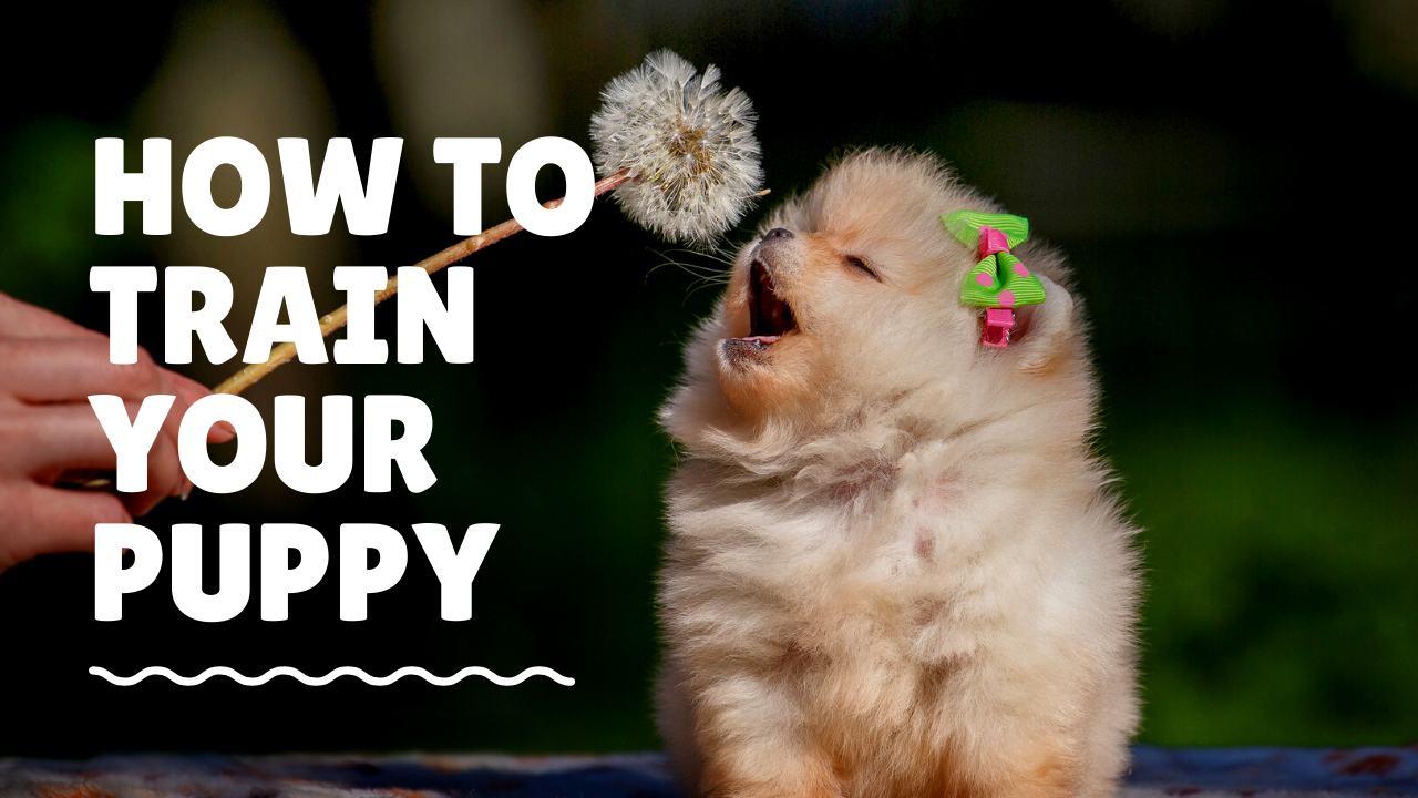 Design 2 Creative YouTube Thumbnail For Your Videos in 48 Hours