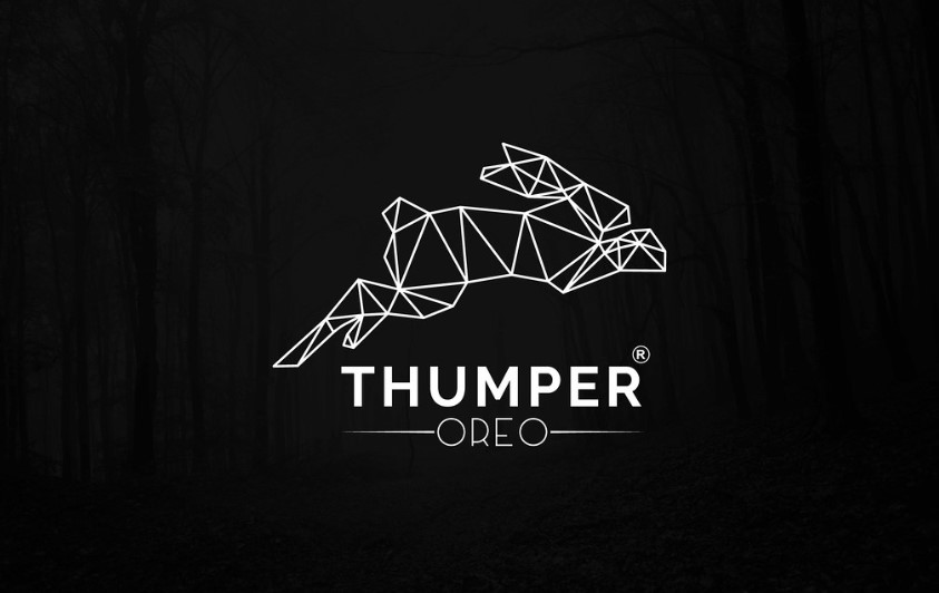 Do Killer Minimalistic Logo Design