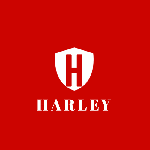 Create High Quality Professional Logo in 24hrs 