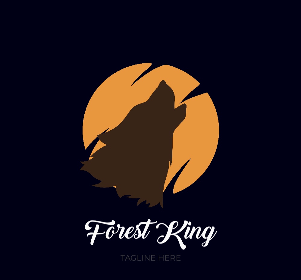 Create High Quality Professional Logo in 24hrs 