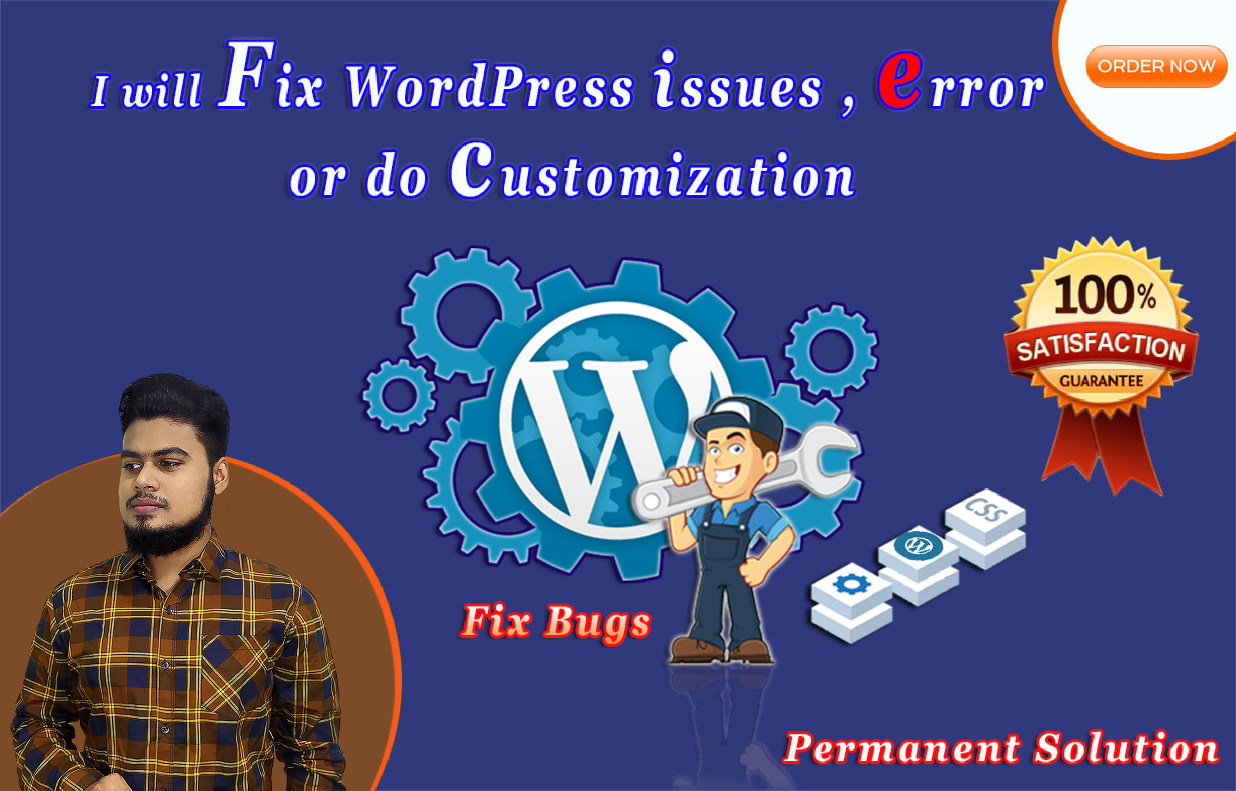 I will fix WordPress issues , error or do customization
