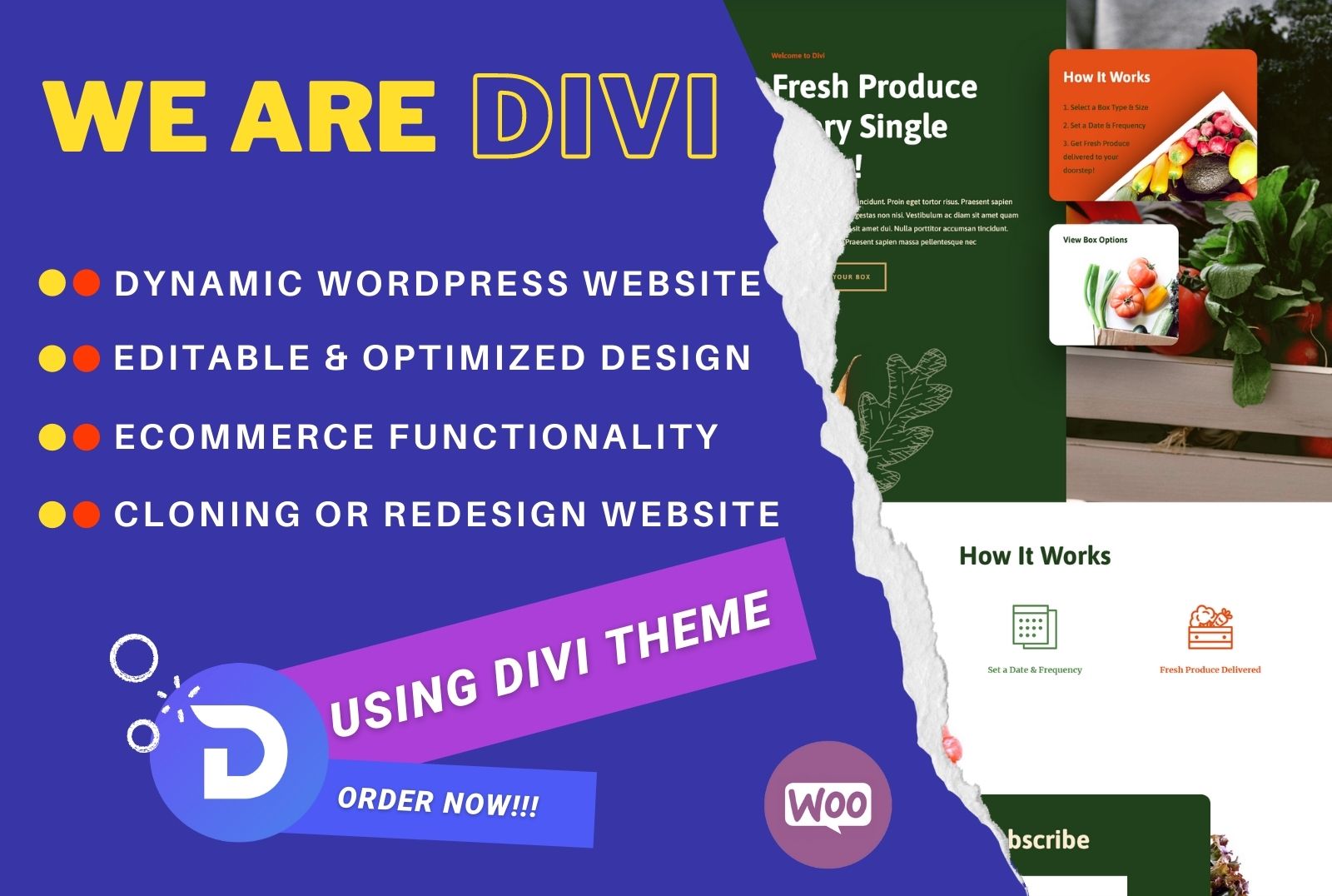 I Will Design Awesome DIVI WordPress Website 