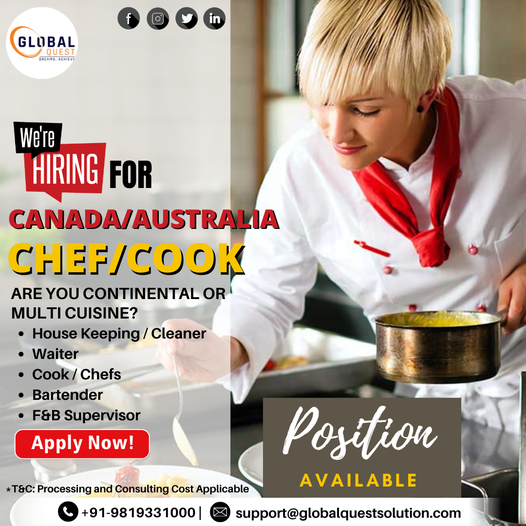 i will create professional social media posts in canva