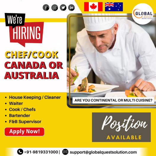 i will create professional social media posts in canva