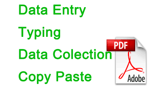Get done your all kinds of stuffs related to data entry, ms office and conversion from pdf to any