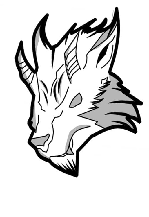 Professional Graphic & Logo Designer