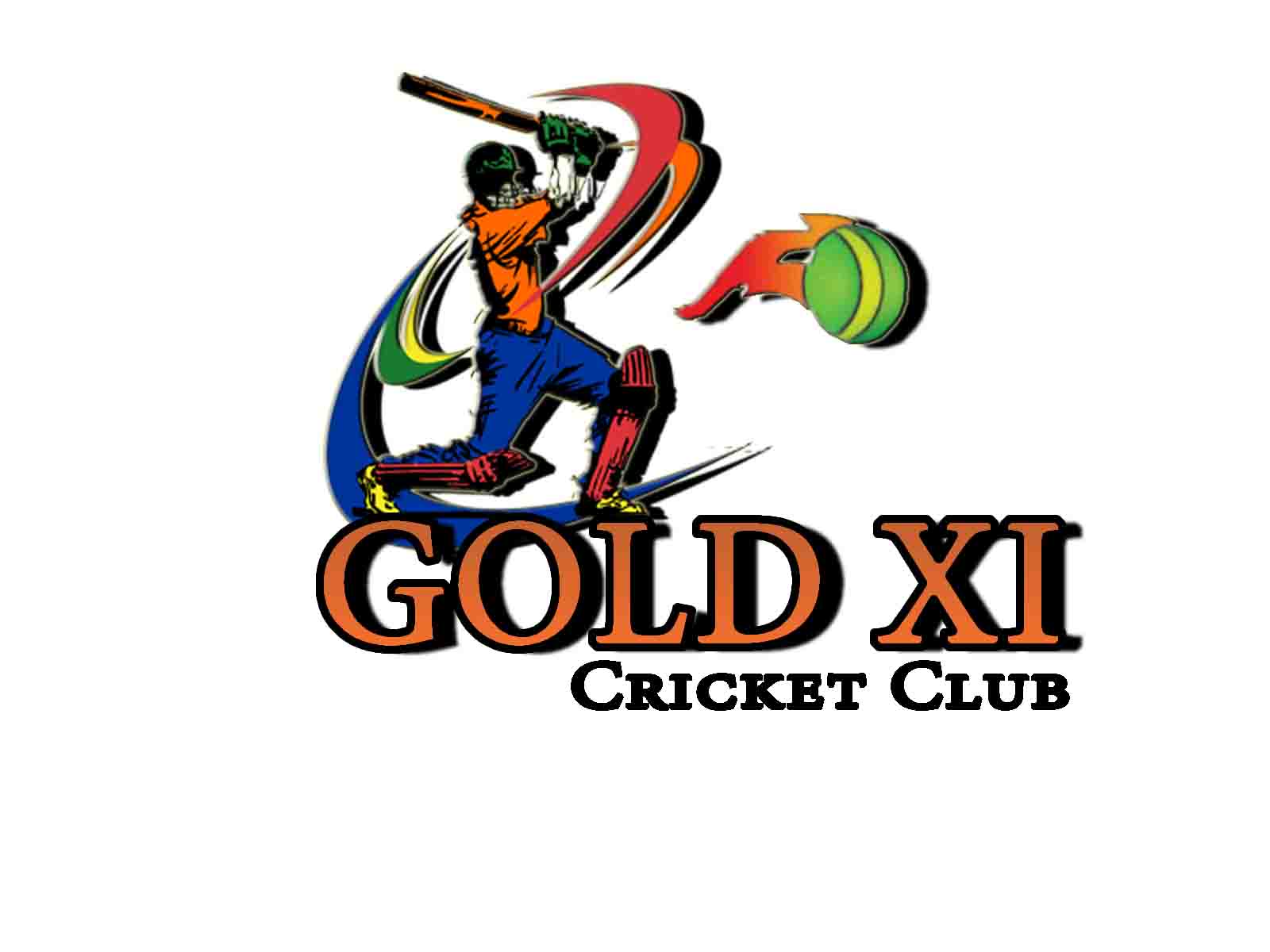 Professional Graphic & Logo Designer