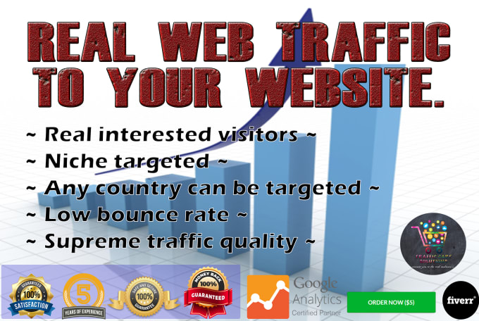 I Will Drive Real And Genuine Traffic To Your Website For 1 Month
