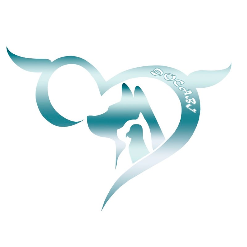 Create a quality logo according to your sketch or a new one