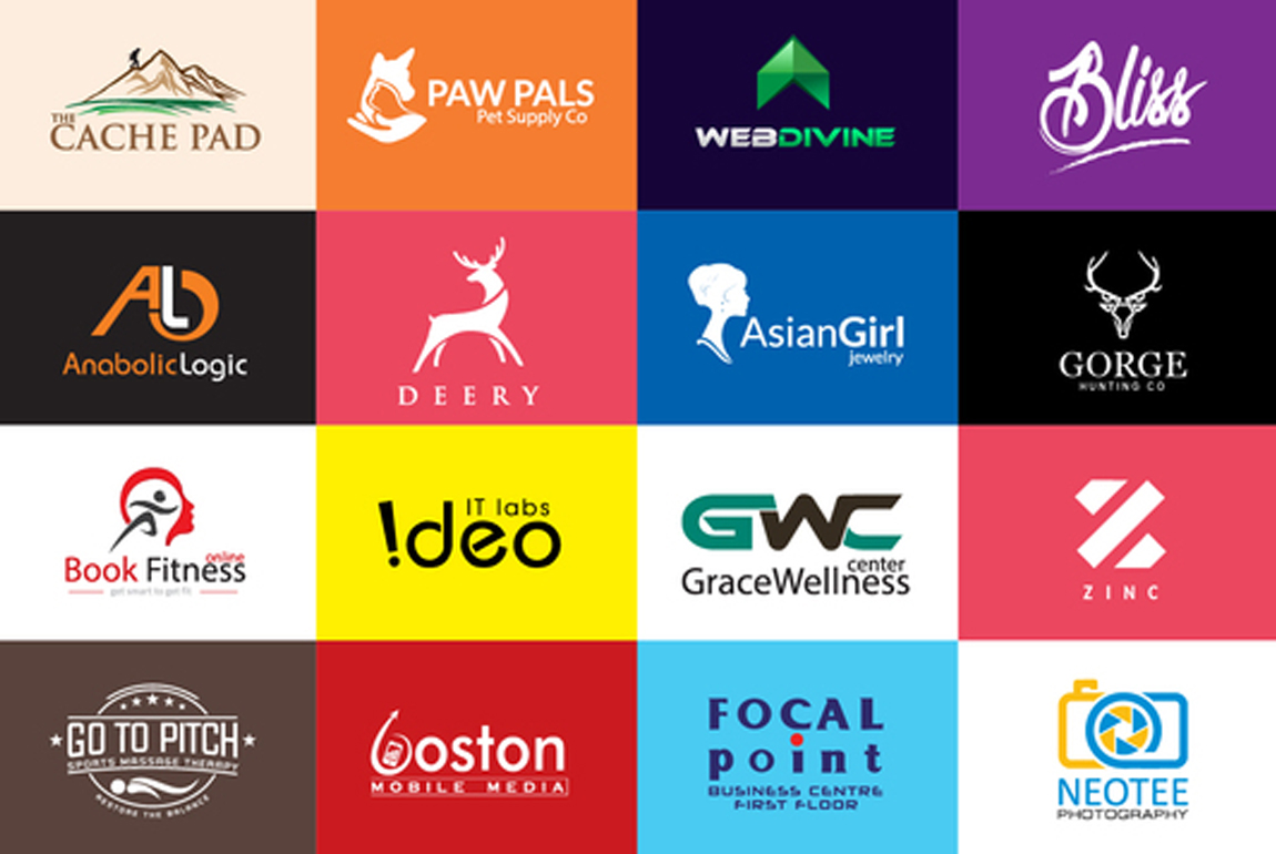 I'll design a premium logo within 24 hours