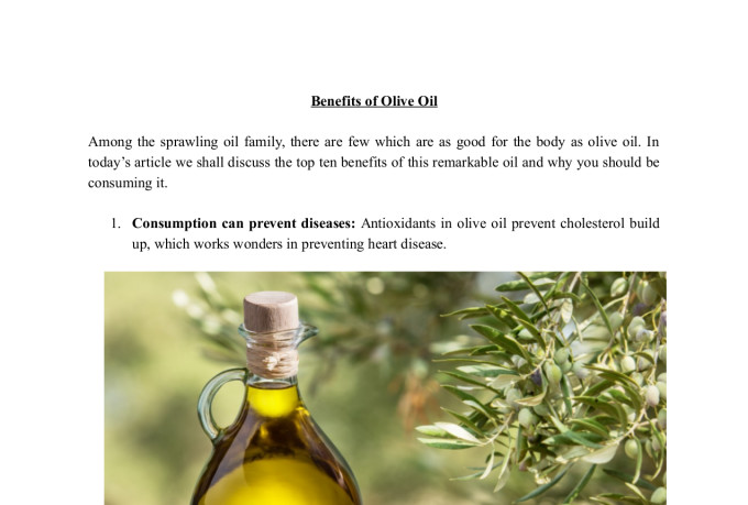 Write An Exceptional Blogpost Or Article For You