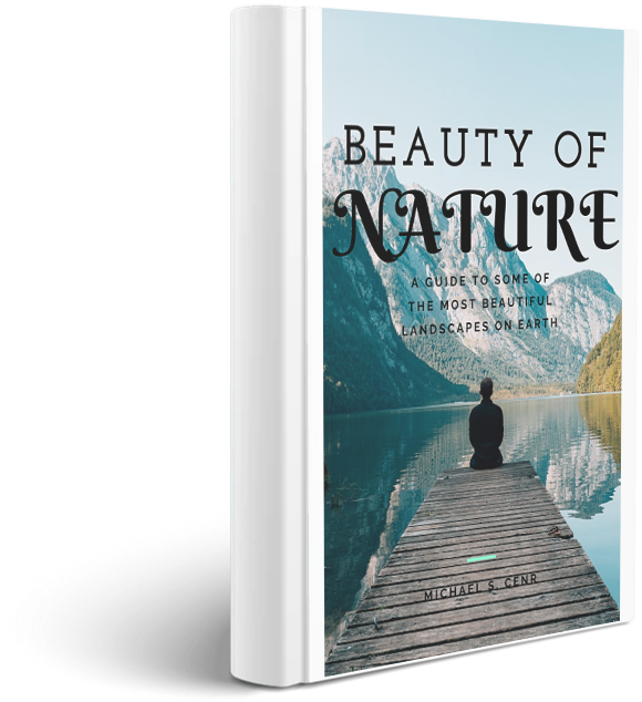 Professional Ebook or book cover design