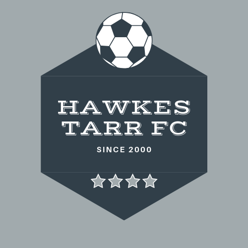 Professional Logo Design in 3 hours