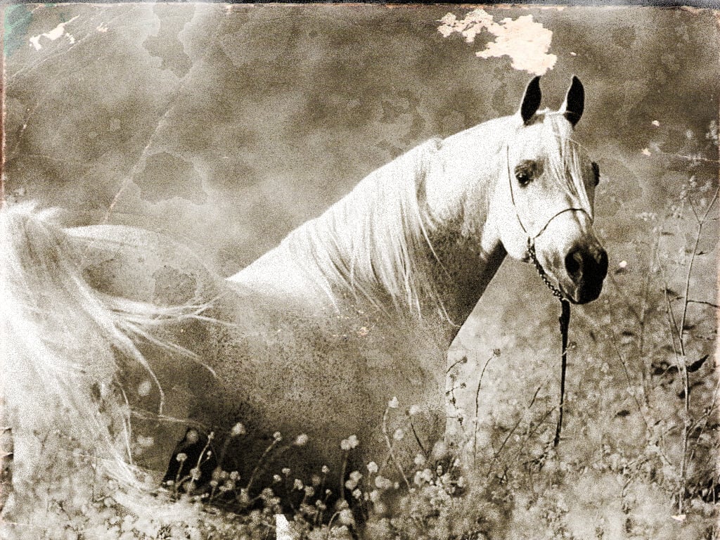 I can age your photographs to black and white or sepia