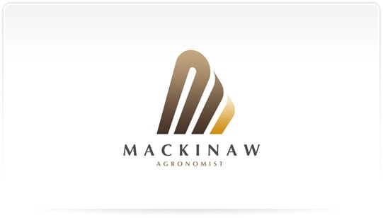  Design Professional Logo Business Unique 