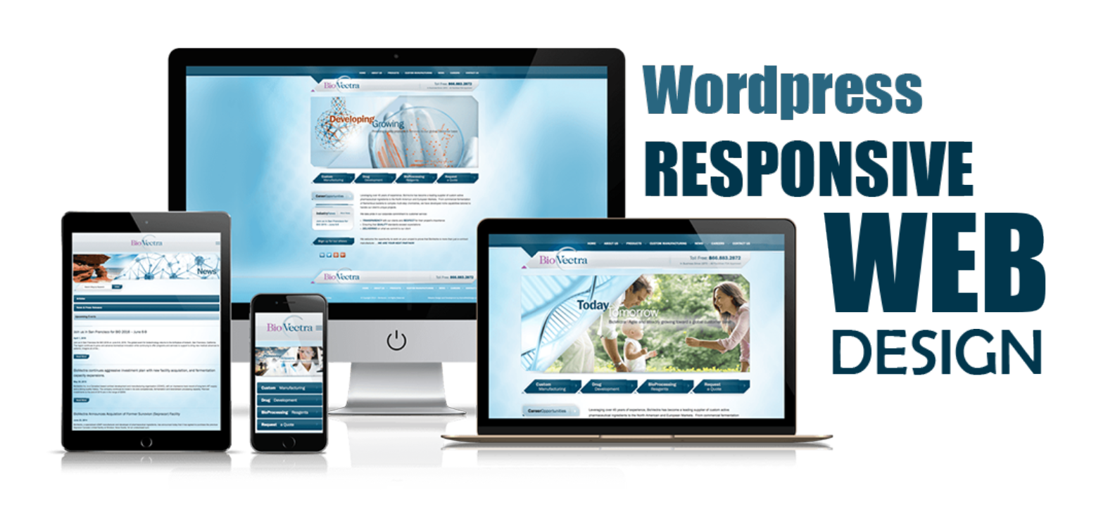 I will build Seo friendly develop professional & responsive WordPress website in your less budget