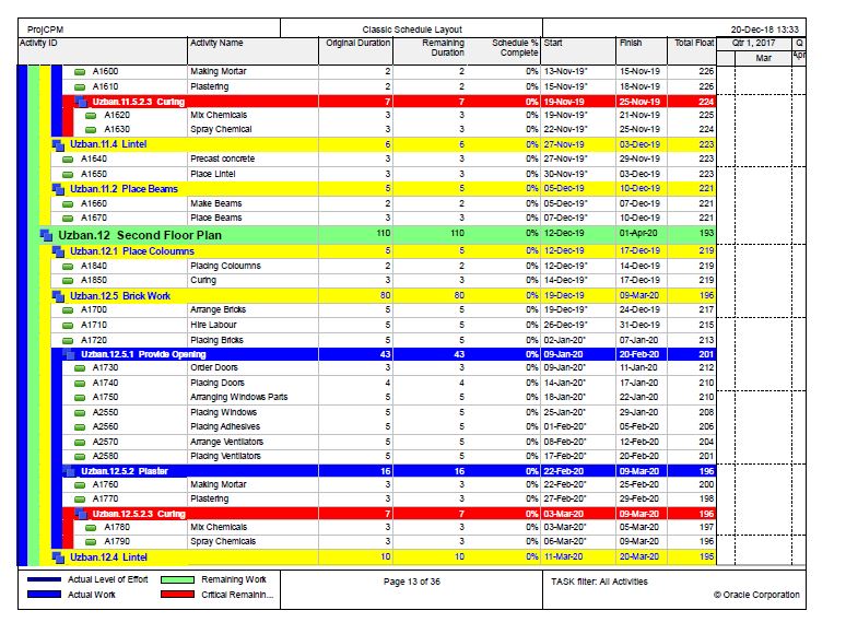 I make gantt charts on Primavera p6