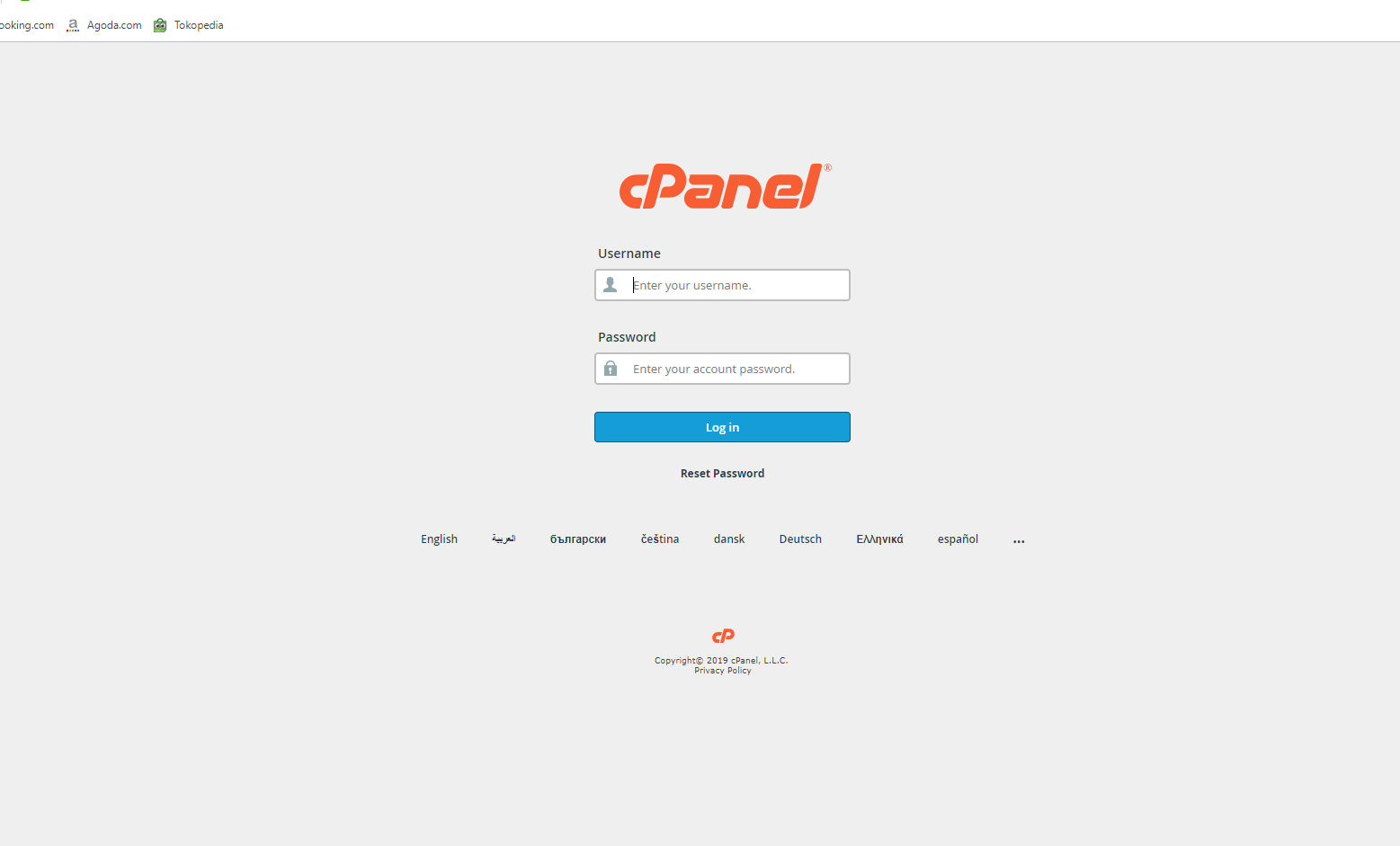 cPnel Hosting 1 year unlimited Fast And Good