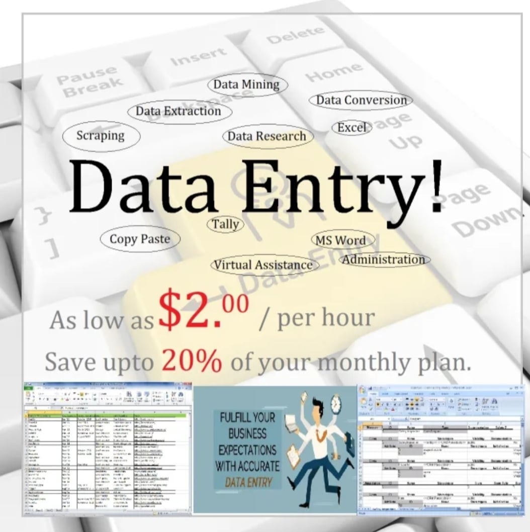 Data entry projects or file conversions