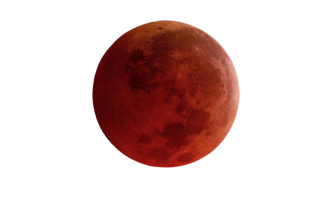  Background Removal Service On 10 Images or less