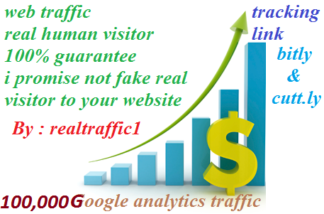Indicators on Buy Real Human Web Traffic You Need To Know