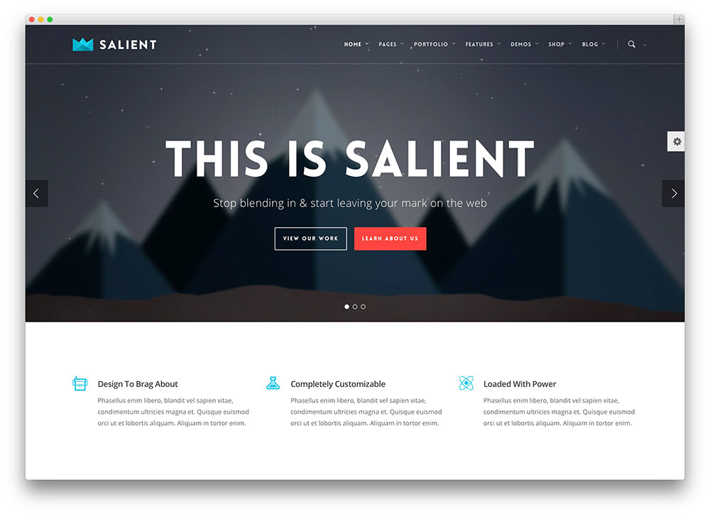 I will create an amazing professional wordpress website 