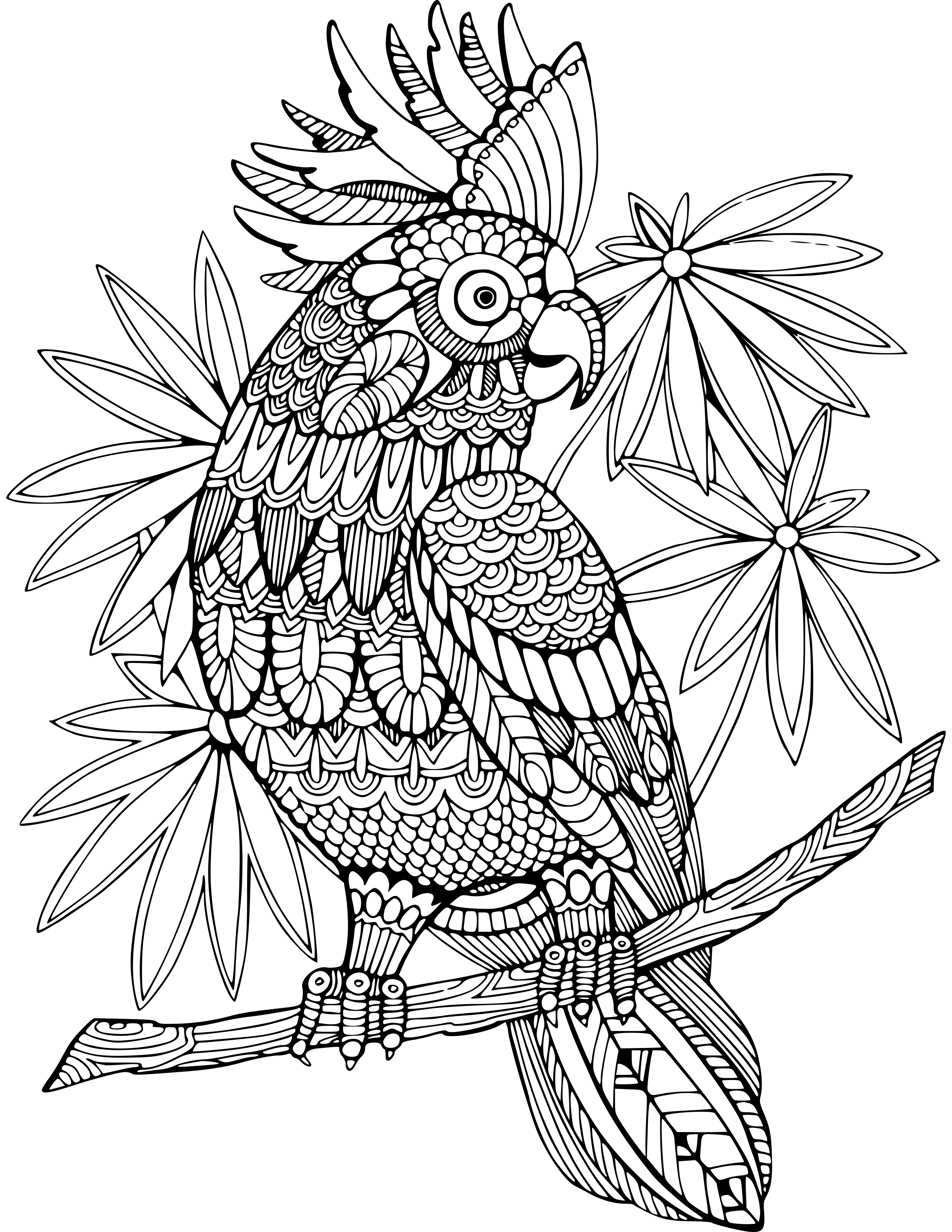 60 Animal Coloring Pages for Adults with Resell Right for $15 - SEOClerks