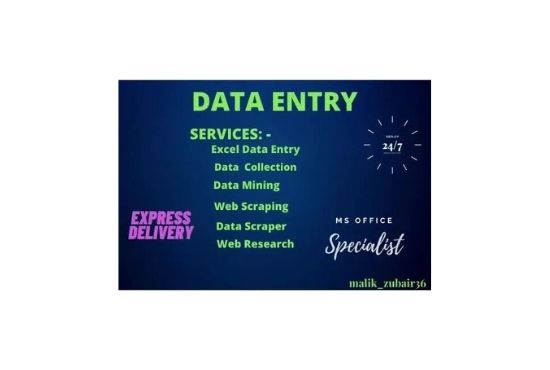 do the permanent data entry data mining data scraping copy paste job 