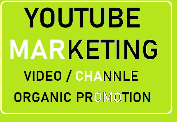 Do social media marketing management within 24 hours