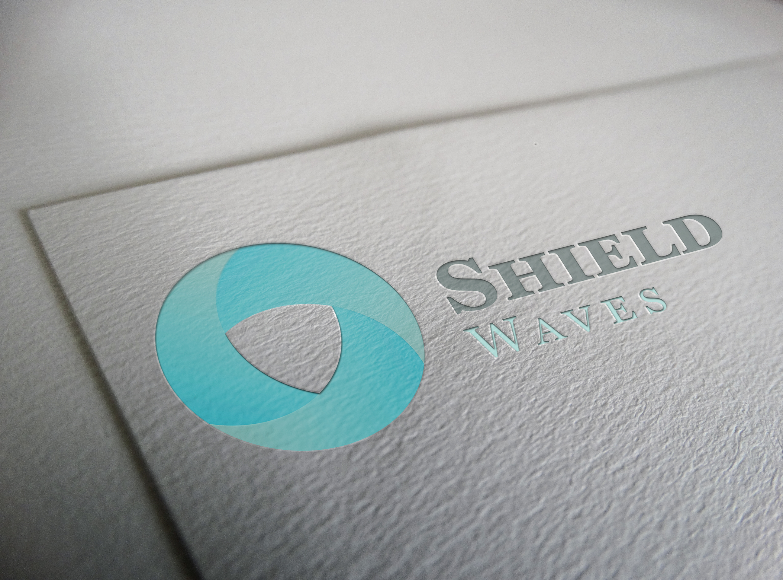 I will design a modern minimalist business logo