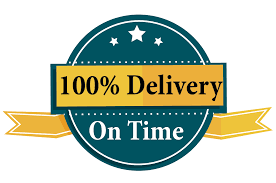 Professional logo design for you in 10 hour delivered.