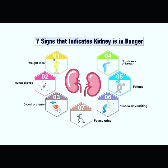 Design Typographic in 5 hr unlimated revision 