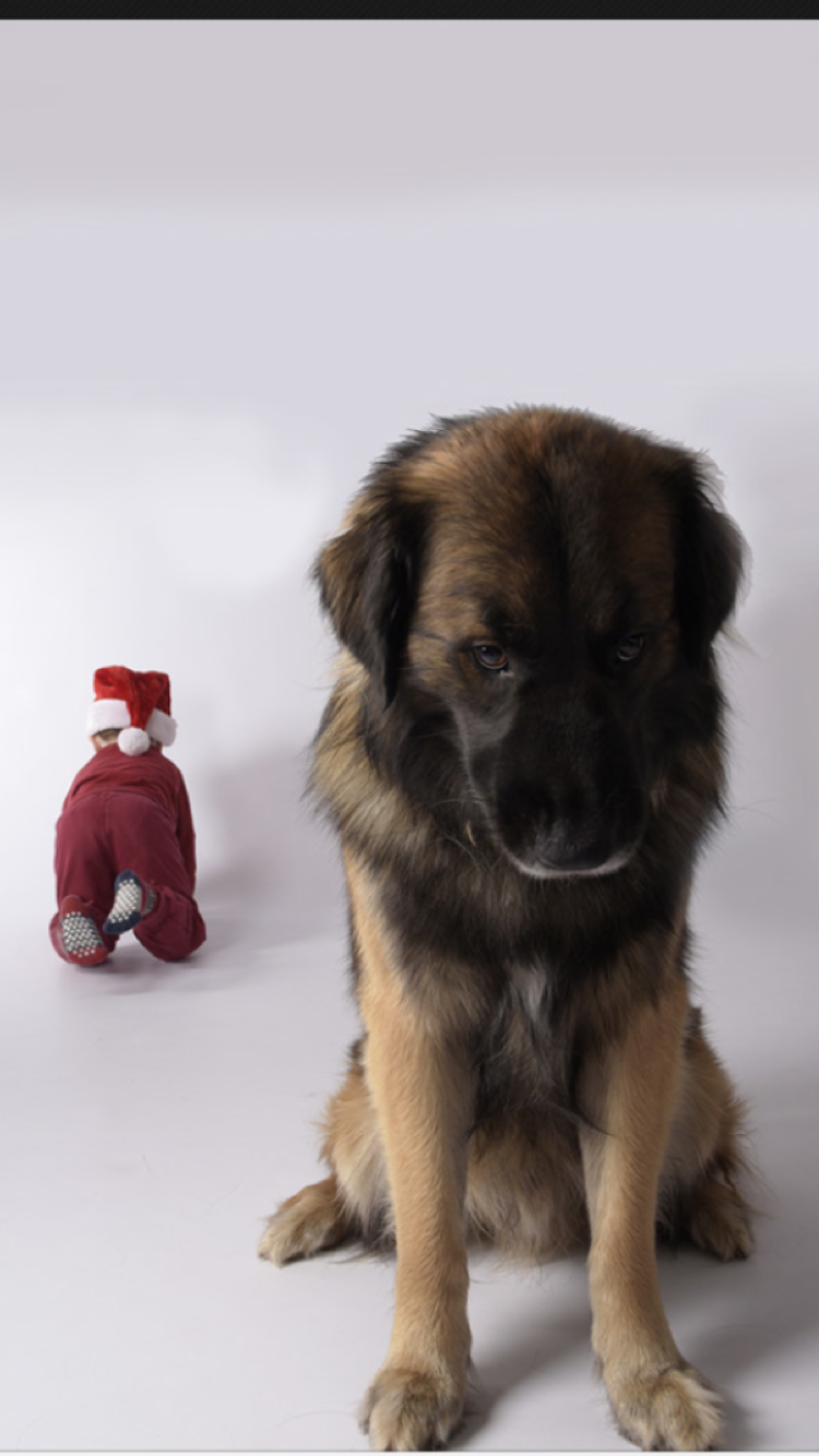 I make a youtube video in to audio