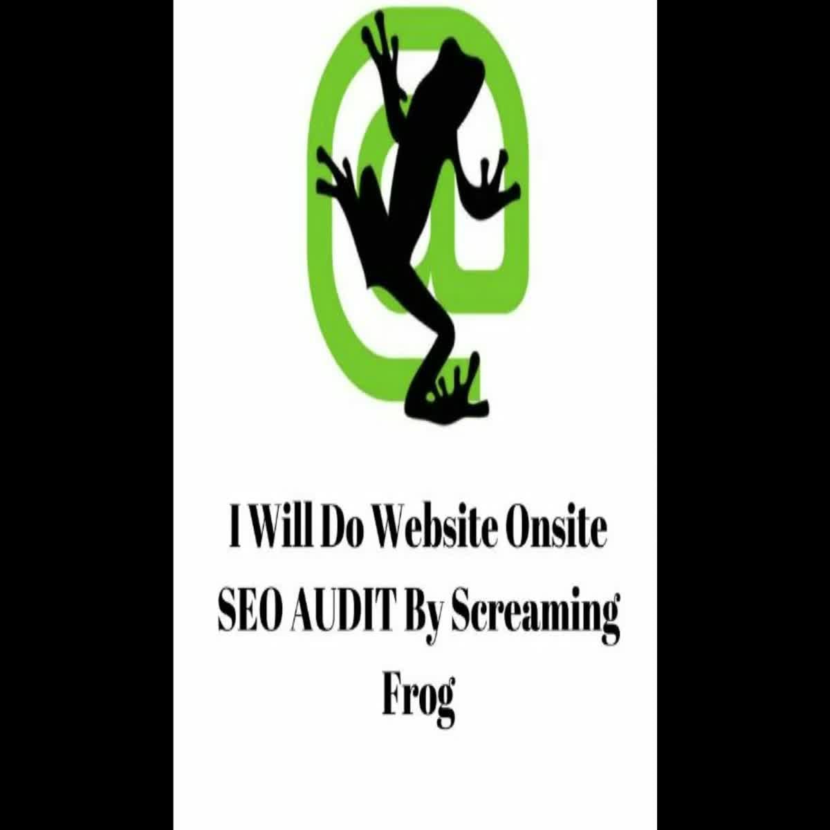 I Will do website onsite SEO AUDIT by Screaming Frog